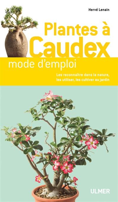 Plantes à caudex de A à Z