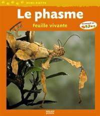 Le phasme : feuille vivante