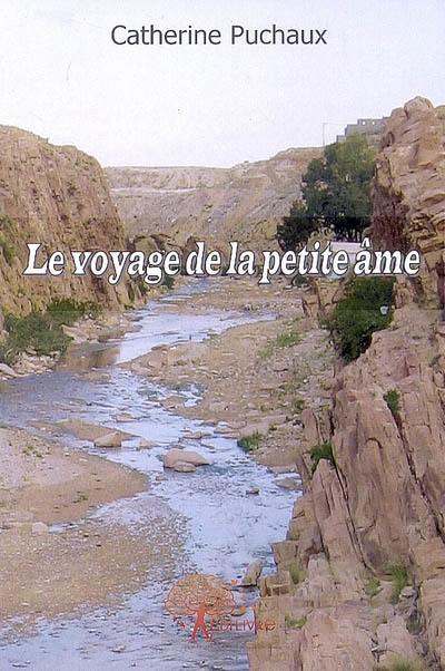 Le voyage de la petite âme