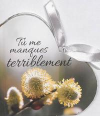 Tu me manques terriblement