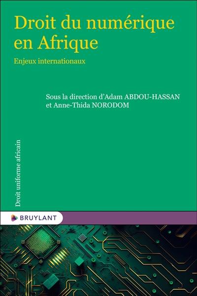 Droit numérique en Afrique : enjeux internationaux