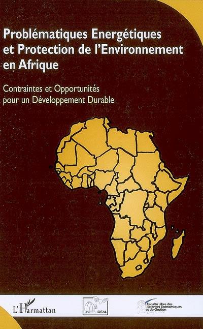 Problématiques énergétiques et protection de l'environnement en Afrique : contraintes et opportunités pour un développement durable