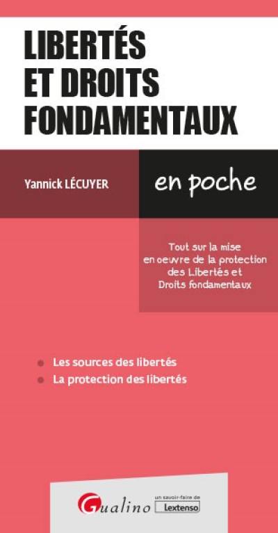 Libertés et droits fondamentaux : tout sur la mise en oeuvre de la protection des libertés et droits fondamentaux