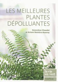 Les meilleures plantes dépolluantes