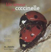 Un amour de coccinelle