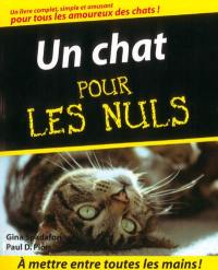 Un chat pour les nuls