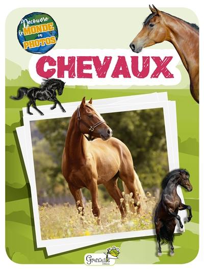 Chevaux