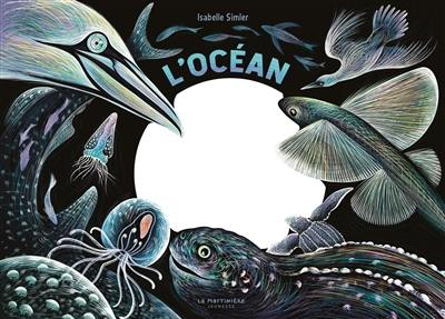 L'océan : une nuit...