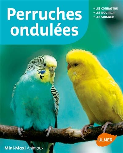 Perruches ondulées : les connaître, les nourrir, les soigner