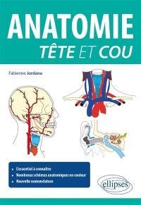 Anatomie tête et cou