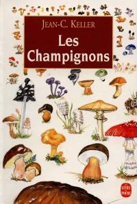 Les Champignons