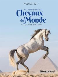 A la rencontre des chevaux du monde : agenda cheval 2017