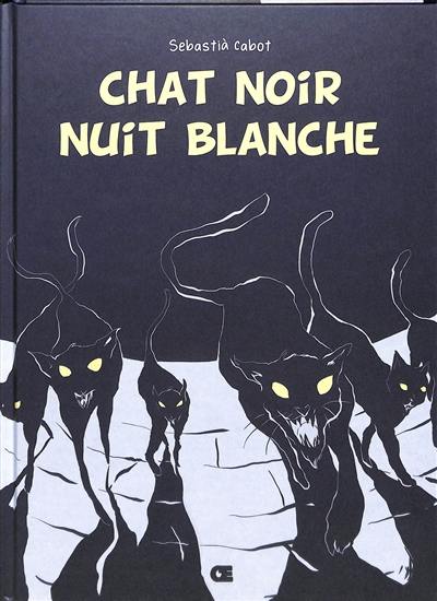 Chat noir, nuit blanche