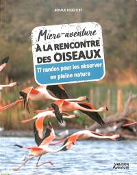 Micro-aventure à la rencontre des oiseaux : 17 randos pour les observer en pleine nature