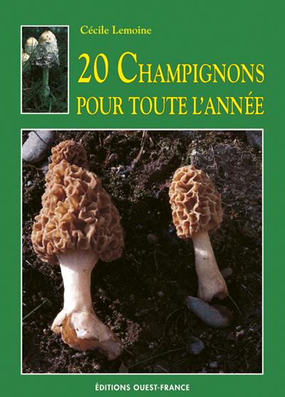 20 champignons pour toute l'année