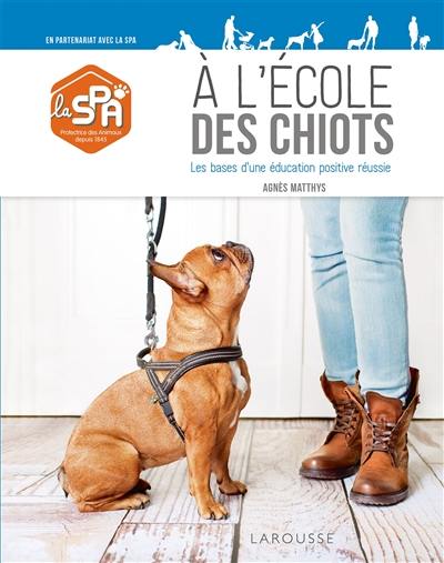 A l'école des chiots : les bases d'une éducation positive réussie