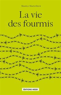 La vie des fourmis