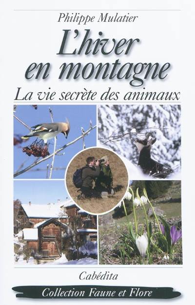 L'hiver en montagne : la vie secrète des animaux