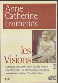 Les visions. Vol. 2. Des guérisons du Christ à sa passion