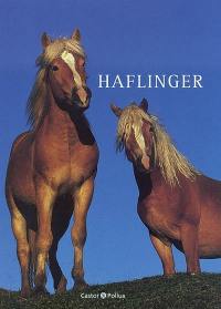 Haflinger