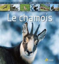 Le chamois