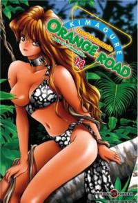 Kimagure Orange Road : Max et compagnie. Vol. 14