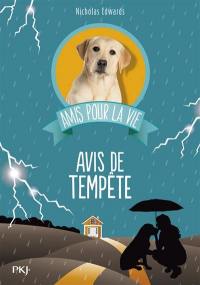 Amis pour la vie. Vol. 2. Avis de tempête