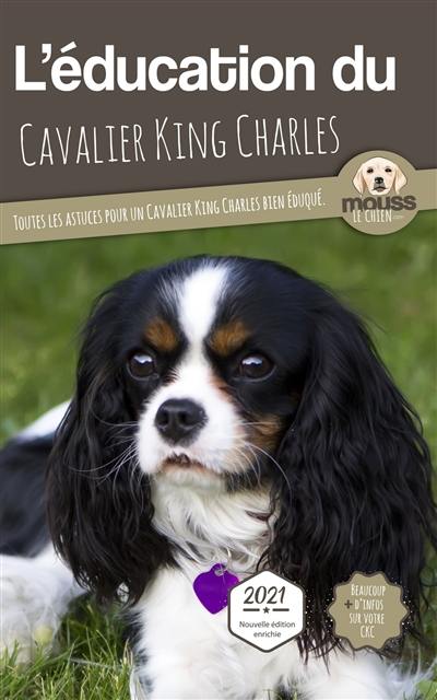 L'éducation du cavalier king Charles : toutes les astuces pour un cavalier king Charles bien éduqué : 2021