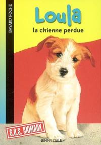 Loula, la chienne perdue