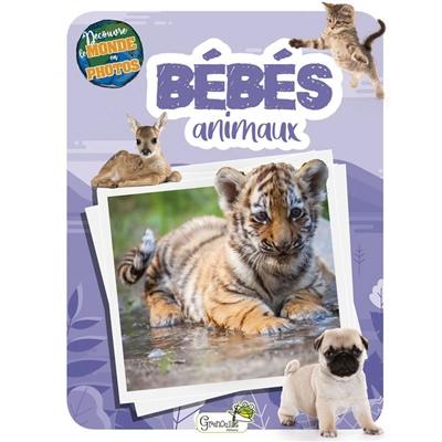 Bébés animaux