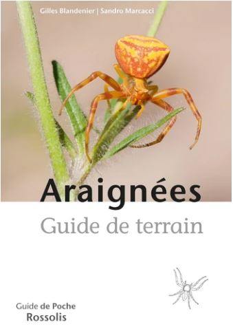 Araignées : guide de terrain