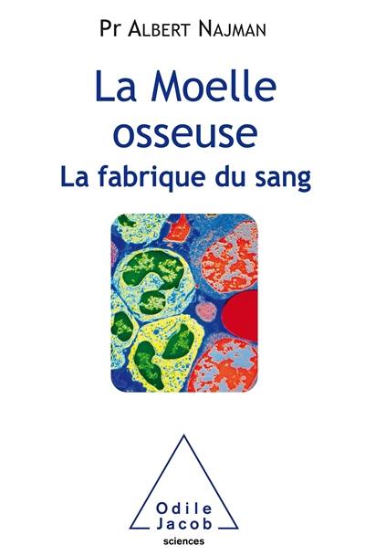 La moelle osseuse : la fabrique du sang