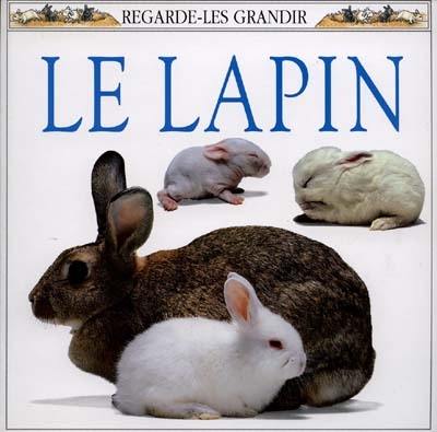 Le lapin