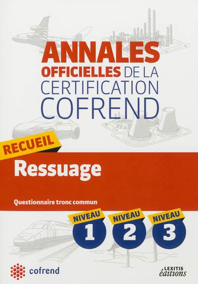 Recueil ressuage : questionnaire tronc commun niveau 1, niveau 2, niveau 3