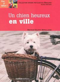 Un chien heureux en ville