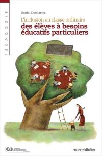 L'inclusion en classe ordinaire des élèves à besoins éducatifs particuliers : proposition d'un cadre organisationnel