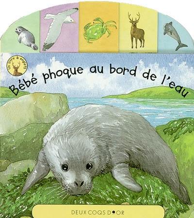 Bébé phoque au bord de l'eau