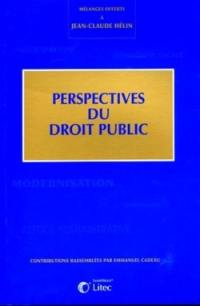 Perspectives du droit public : mélanges offerts à Jean-Claude Hélin