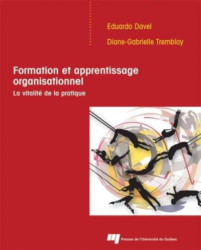 Formation et apprentissage organisationnel : la vitalité de la pratique