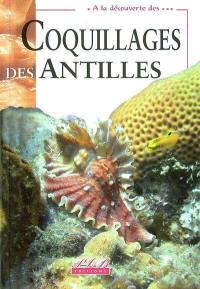 Coquillages des Antilles