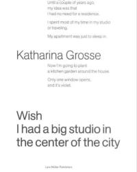 Katharina Grosse Wish I Had a Big Studio in the Center of the City