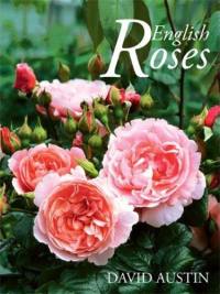 David Austin´s English Roses