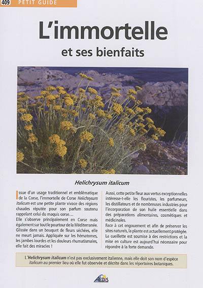 L'immortelle et ses bienfaits