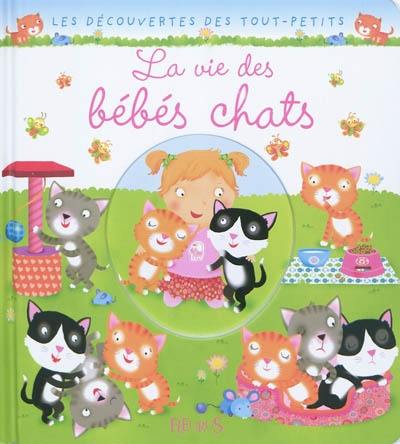 La vie des bébés chats