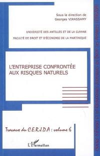 Travaux du CERJDA. Vol. 5. L'entreprise confrontée aux risques naturels : colloque du 25 novembre 2005