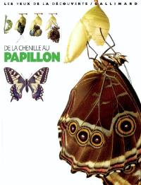 De la chenille au papillon