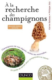 A la recherche des champignons