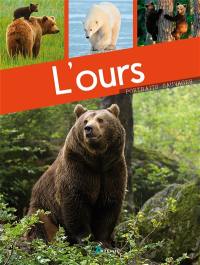 L'ours