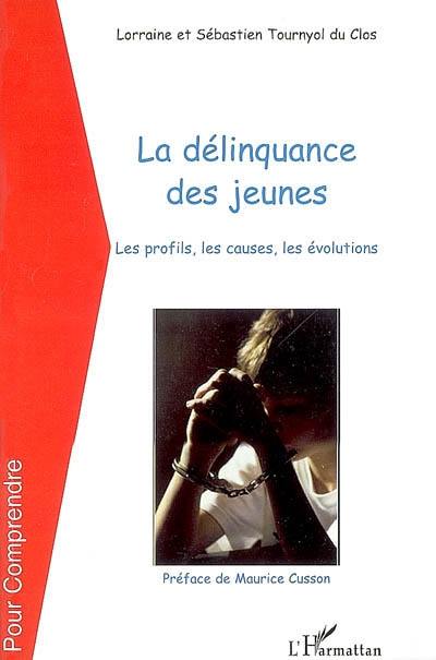 La délinquance des jeunes : les profils, les causes, les évolutions