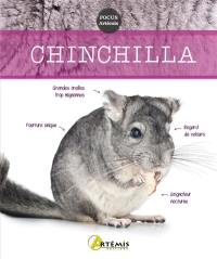 Chinchilla